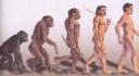 human_evolution_small1.jpg