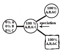 100 percent then spec