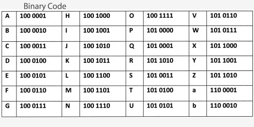 binary code with label